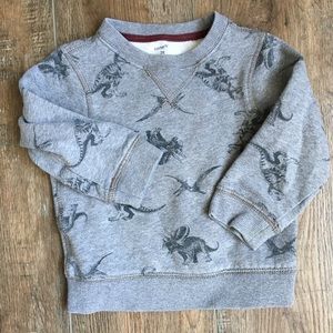 Carter’s dinosaur sweatshirt size 3